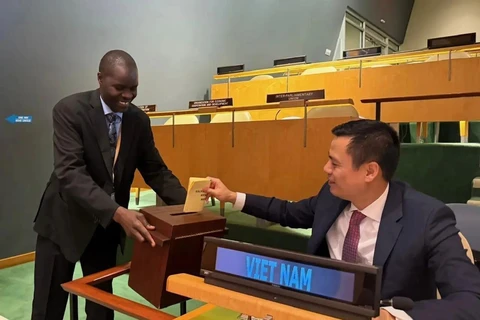 El embajador Dang Hoang Giang, jefe de la misión permanente de Vietnam en la ONU realiza el voto (Fuente: VNA) 