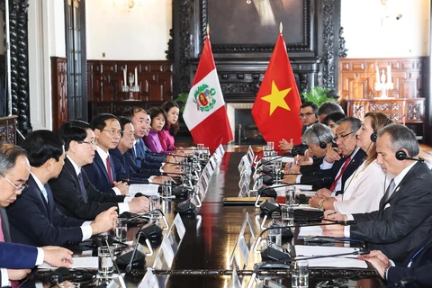 Vietnamese, Peruvian Presidents hold talks