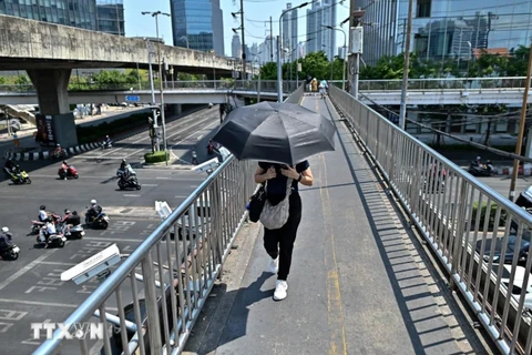 To limit the chance of heat stroke, avoid any activity in direct sunlight, especially between 11am and 3pm. (Photo: AFP/VNA)