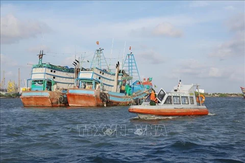 Ba Ria - Vung Tau has exerted efforts to fight IUU fishing. (Photo: VNA)