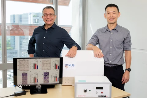 NUS scientists have discovered a new way to stimulate muscle cells to produce and release proteins possessing anticancer properties, by using brief and mild pulsed electromagnetic pulses of particular characteristics. (Photo courtesy of the NUS)