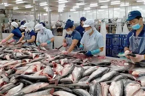 Fishery export sustains momentum during January-May. (Photo: VNA)