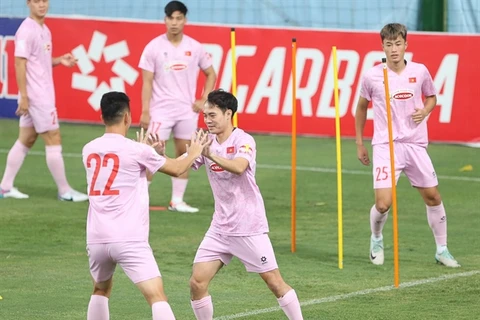 The Vietnamese national team seen at a recent training session (Photo VFF)