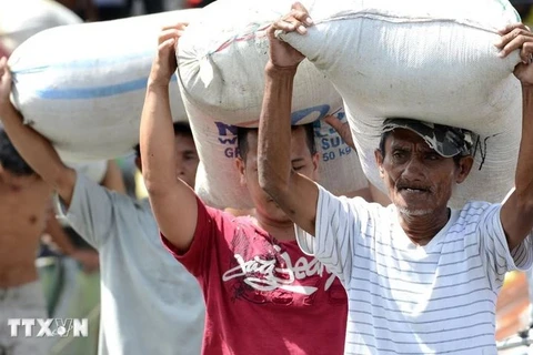 The Philippines is expected to import more rice in 2024 and the next year. (Photo: AFP/VNA)