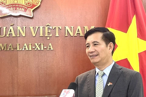 Vietnamese Ambassador to Malaysia Dinh Ngoc Linh (Photo: VNA)