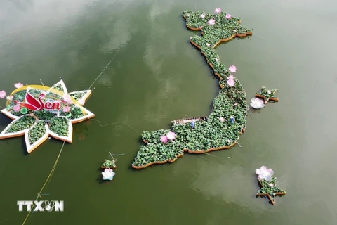 5,000 lotus flower pots craft Vietnam's map