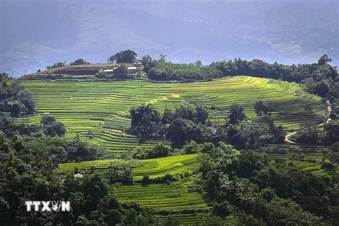 Beauty of Mien Doi terraced fields in Hoa Binh province