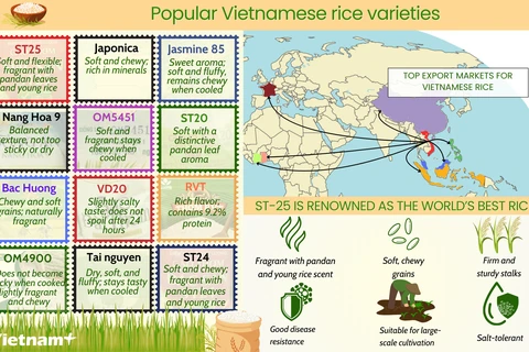 Popular Vietnamese rice varieties on global market 