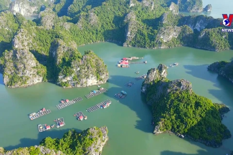 Vung Vieng fishing village captivates foreign tourists