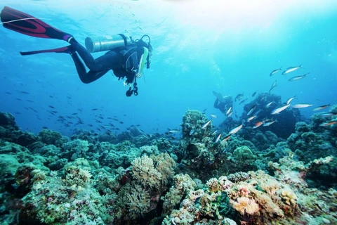 Nha Trang ranked among top 5 most beautiful diving destinations in Asia