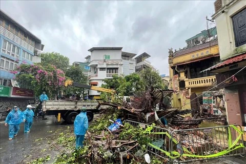 Hanoi: Fallen trees on the streets due to impact of super typhoon Yagi