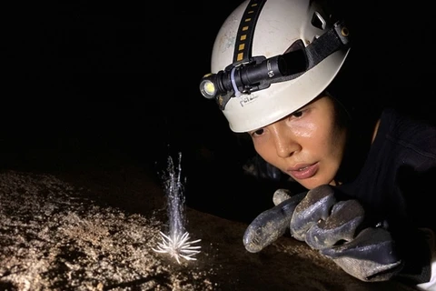 Unseen species found in Phong Nha Ke Bang National Park