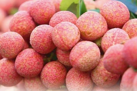 Bac Giang successfully exports lychee to demanding markets