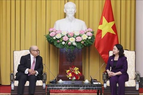 越南国家副主席武氏映春会见摩洛哥众议院秘书长纳吉布·哈迪。图自越通社 