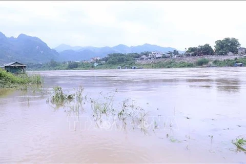 流经宣光市的泸江水位上升。图自越通社