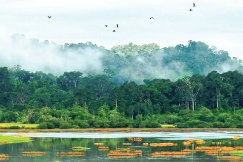 Parque Nacional Cat Tien ingresa a Lista Verde de UICN 