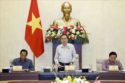 El presidente de la Asamblea Nacional de Vietnam, Tran Thanh Man, habla en la reunión. (Fuente: VNA)