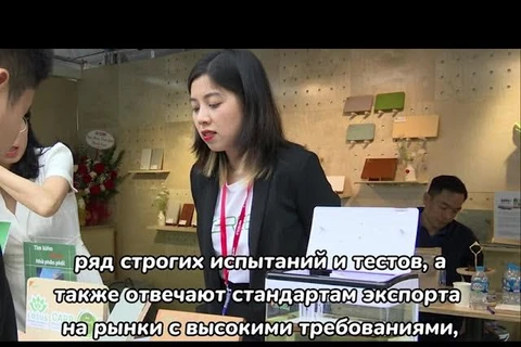 Экологически чистые продукты стали изюминкой выставки Vietbuild 2024