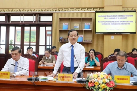 Фам Хоанг Шон, постоянный заместитель секретаря провинциального комитета партии и председатель провинциального Народного совета, выступает на мероприятии (Фото: ВИA)