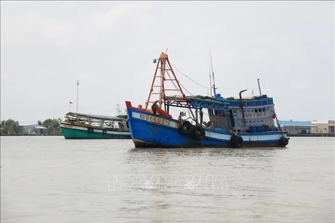 Усилия по борьбе с ННН-промыслом для устойчивого развития рыбной отрасли