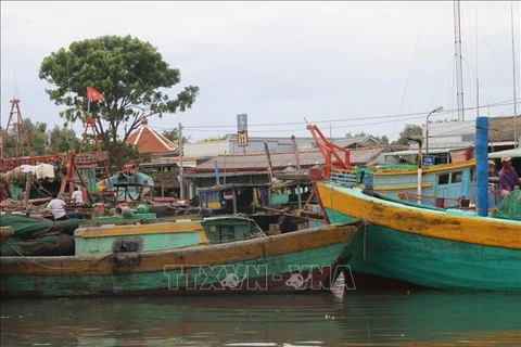 Рыболовецкий порт Вамланг в уезде Гоконгдонг провинции Тьенжанг (Фото: ВИA)