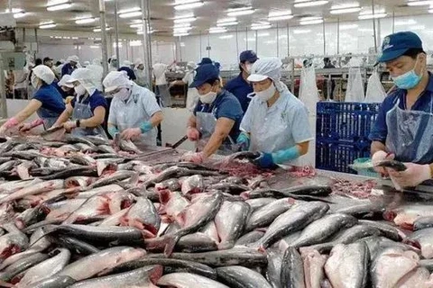 Рыбный экспорт сохранил динамику в январе-мае. (Фото: ВИА) 