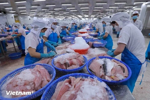 Рабочие обрабатывают рыбные продукты для экспорта (Фото: VietnamPlus)