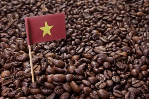 Вьетнам продолжает укреплять свои позиции ведущего мирового поставщика кофе 