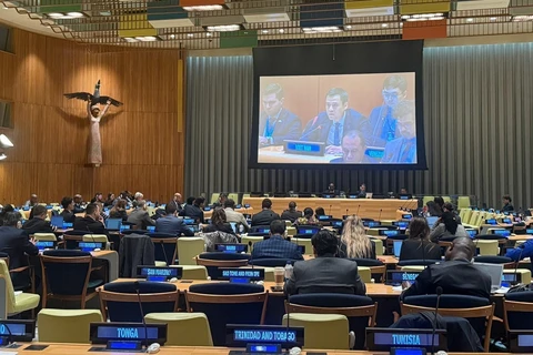 El embajador Dang Hoang Giang, jefe de la misión permanente de Vietnam ante ONU participó en el debate del Comité de Asuntos Sociales, Humanitarios y Culturales (Fuente: VNA)