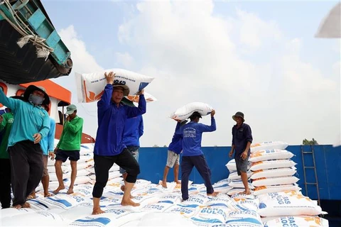 Exportaciones de arroz vietnamita se aproximan a 8,5 millones de toneladas en 11 meses