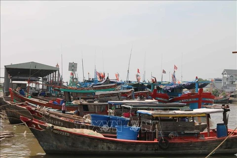 Des bateaux de pêche mouillant au port de pêcge de Dinh An, dans la province de Trà Vinh. Photo: VNA