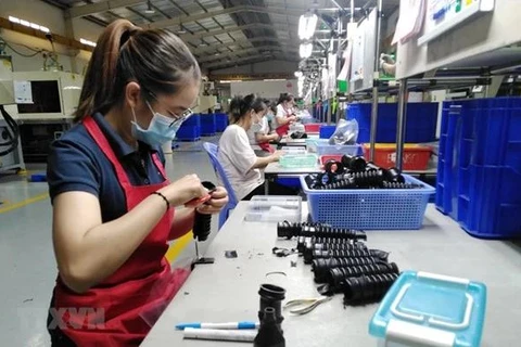 Fabrication de composants d'amortissement en caoutchouc de haute technologie dans l'usine de la SARL Tuong Lai, à Dông Nai. Photo : VNA