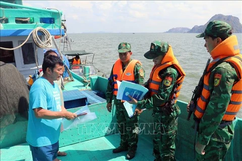 Des gardes-frontières du port de Hon Chong, dans la province de Kiên Giang, inspectent les bateaux de pêche en opération en mer. Photo : VNA