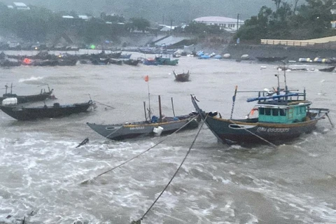 Bateaux se mettant à l’abri du typhon Trami sur les îles Chàm, ville de Hôi An. Photo: VNA