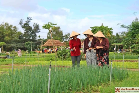 Le village de Trà Quê élu l'un des meilleurs villages touristiques du monde 