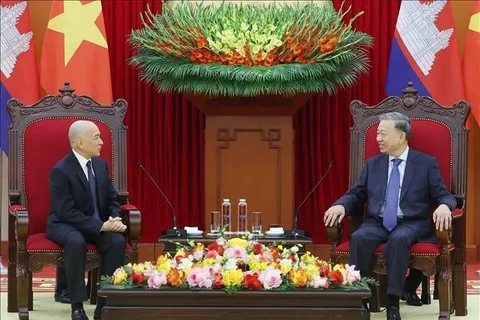 Entrevue entre le secrétaire général Tô Lâm (à droite) et le roi Norodom Sihamoni, à Hanoi, le 28 novembre. Photo : VNA