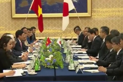 Vietnam, Japan foster bilateral ties in numerous aspects 