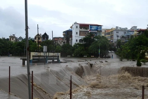 Downpour has triggered severe flooding in northern Vietnam. (Photo: VNA)