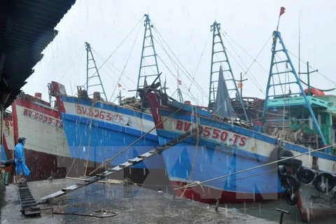 Storm shelter and fishing port to be built in Kien Giang province 