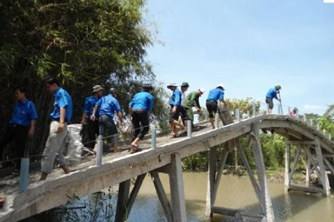 Bridge built to reach flood-isolated Dong Nai