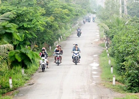 Truong Van Da road in Binh Chanh District, HCM City. (Photo: sggp.gov.vn)