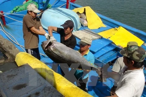 Japan to build tuna processing plant in Phu Yen