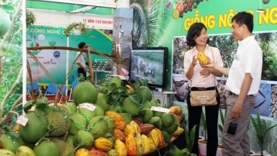 Hanoi to open agriculture and craft village fair 
