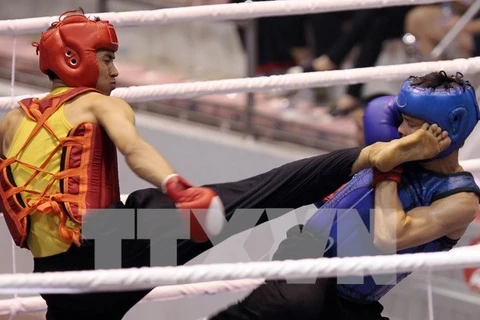 Vietnam-RoK Professional Boxing Tournament to open in October 