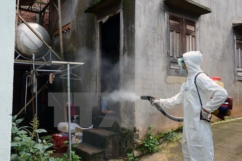 Dong Nai acts to contain dengue