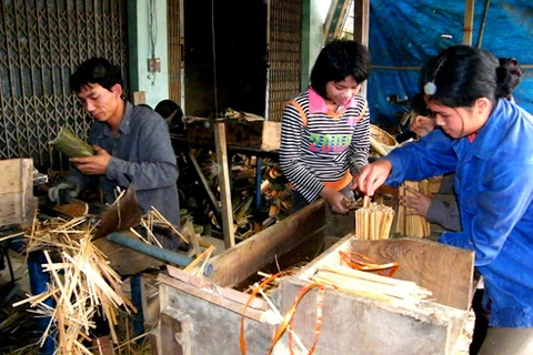  International agencies help Thanh Hoa develop “luong” bamboo