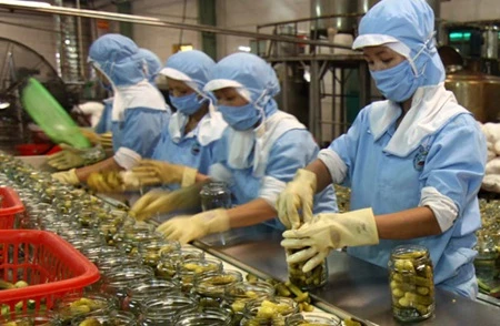 Vietnam’s GDP likely to gain most from TPP, AEC