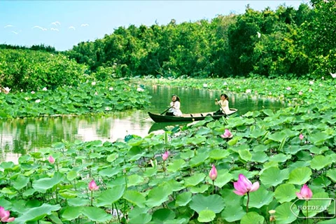 Floating in paradise of lotus
