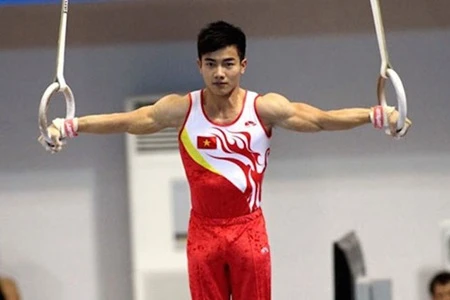 Vietnamese gymnasts to compete for ticket to Rio
