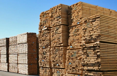 Chile plans timber exports to Vietnam 